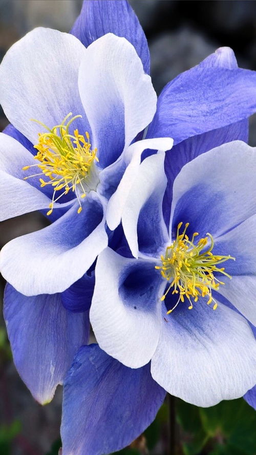 深刻走心的朋友圈說(shuō)說(shuō),精辟有內(nèi)涵,值得細(xì)細(xì)品讀