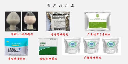 葡萄與葡萄酒研究中心