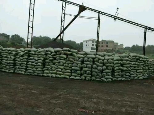 石城縣過濾陶粒價格是多少