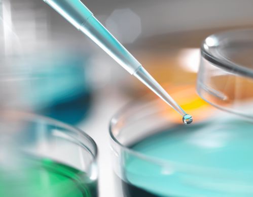 辟謠 長斑點(diǎn)的雞蛋有沙門氏菌嗎 買雞蛋要看好這4點(diǎn)