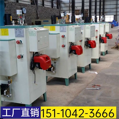 2021歡迎訪問 山東省濱州市全自動(dòng)燃油蒸汽發(fā)生器 股份集團(tuán)