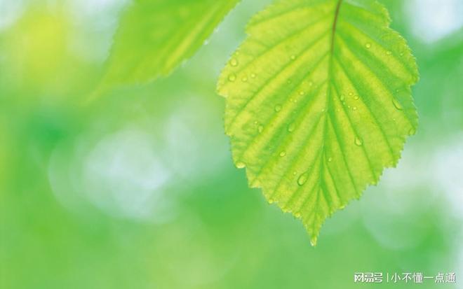 混凝土緩凝劑與高性能減水劑 現(xiàn)代混凝土工程的關(guān)鍵輔料生產(chǎn)與應(yīng)用